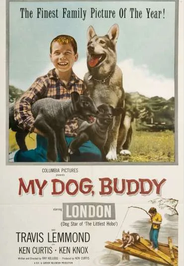 My Dog, Buddy