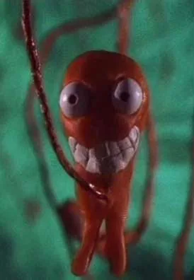 Navan Kääntöpiiri