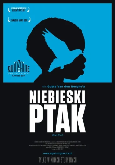Niebieski ptak