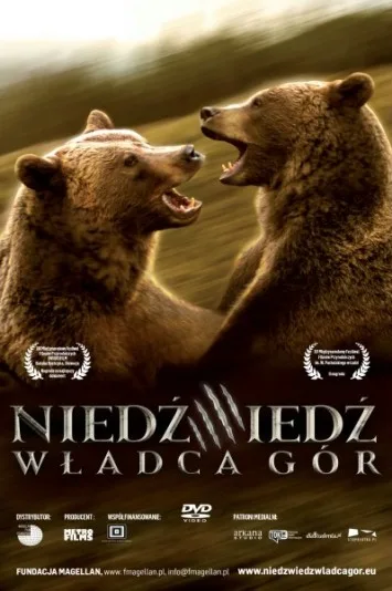 Niedźwiedź - władca gór