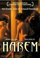 Noc w haremie