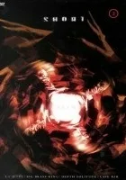 Odilon Redon, albo oko wznosi się ku bezmiarowi niby balon przedziwny