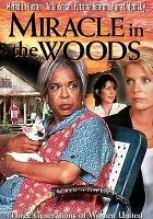 Odszukane szczęście