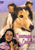 Odwaga Lassie