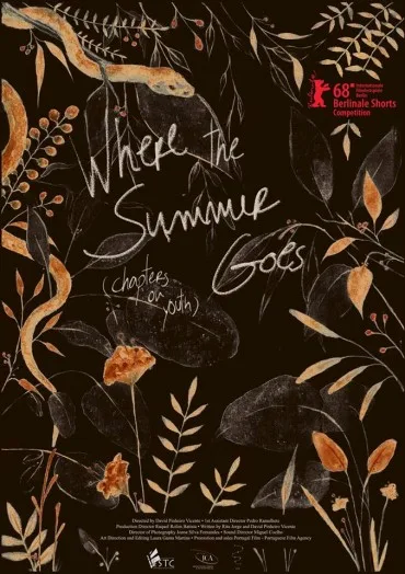 Onde o Verão Vai (episódios da juventude)