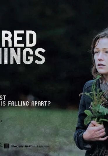 One Hundred Mornings