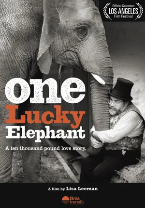 One Lucky Elephant