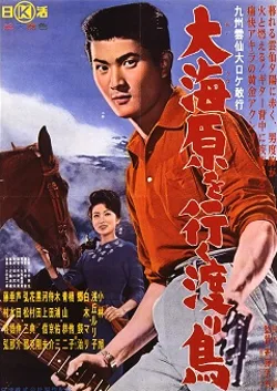 Ōunabara o Yuku Wataridori