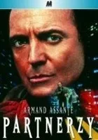 Partnerzy
