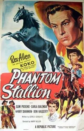 Phantom Stallion