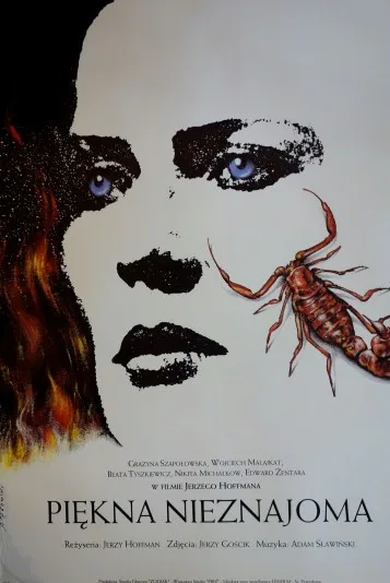 Piękna nieznajoma