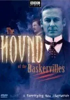 Pies Baskerville'ów