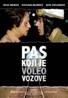 Pies, który lubił pociągi