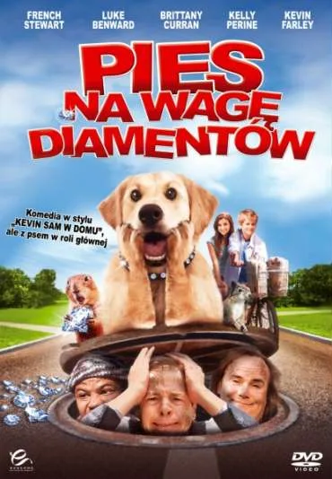 Pies na wagę diamentów