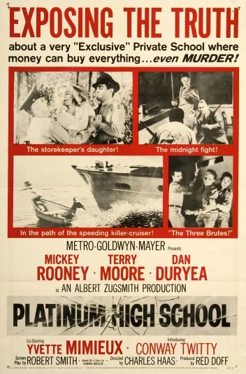 Platinum High School