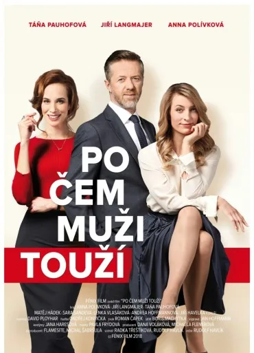 Po čem muži touží