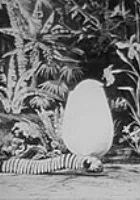 Poczwarka i złoty motyl