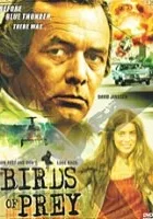 Pojedynek helikopterów