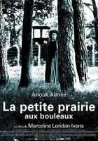 Polana pośród brzeziny