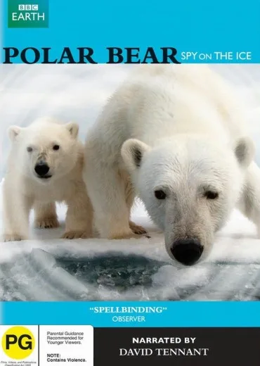 Polar Bears: Spy on the Ice