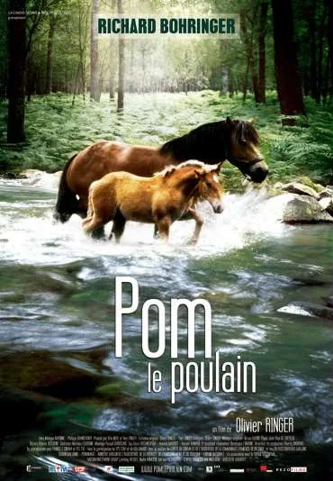 Pom, le poulain