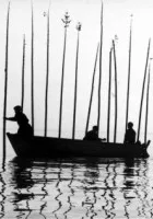 Pour la suite du monde