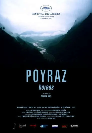 Poyraz