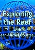 Poznajemy rafę koralową