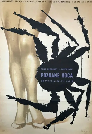 Poznane nocą