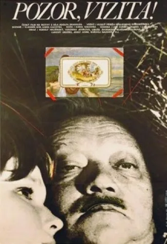 Pozor, vizita!
