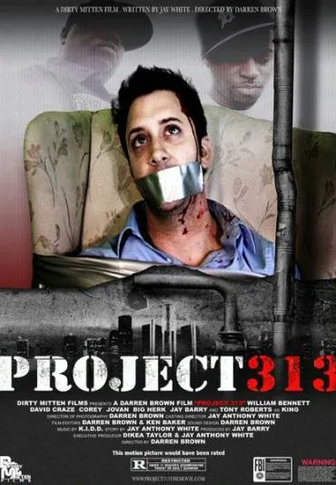 Project 313