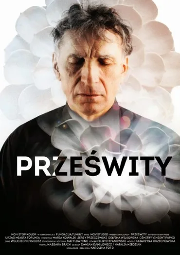 Prześwity