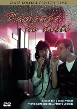 Przyjaciel na niepogodę