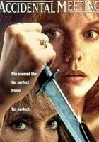 Przypadkowe spotkanie