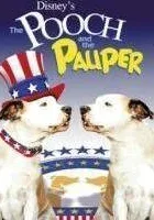 Psi książę, psi żebrak