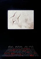 Ptaszki, sieroty i głupcy