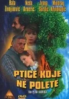 Ptice koje ne polete