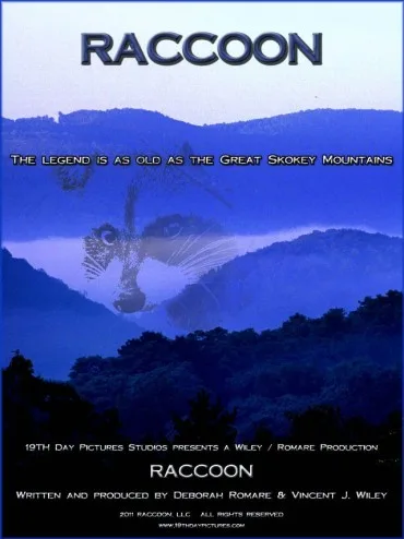 Raccoon