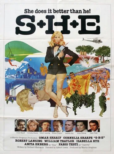 S+H+E: Security Hazards Expert