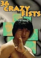 San shi liu mi xing quan