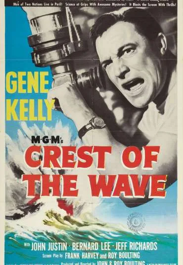 Seagulls Over Sorrento