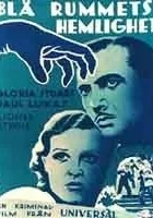 Secret of the Blue Room