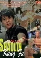 Shao Lin Zhen Gong Fu