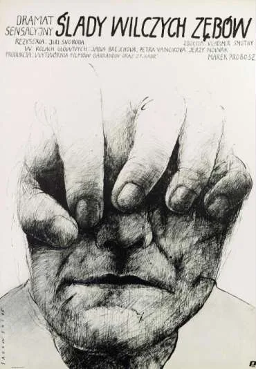 Ślady wilczych zębów