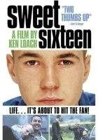 Słodka szesnastka