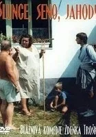 Słońce, siano, truskawki