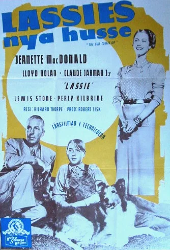 Słońce zawsze wschodzi