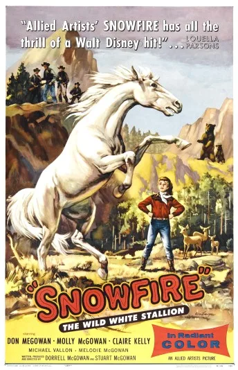 Snowfire