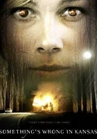 Something's Wrong in Kansas