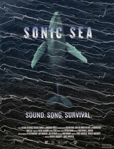 Sonic Sea